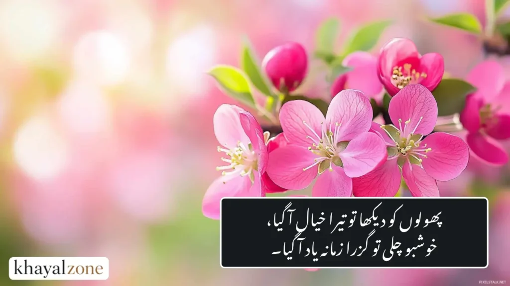 Flower Poetry in Urdu